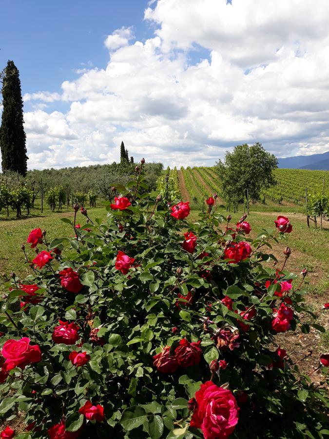 Villa La Vecchia Quercia à Pergine Valdarno Extérieur photo